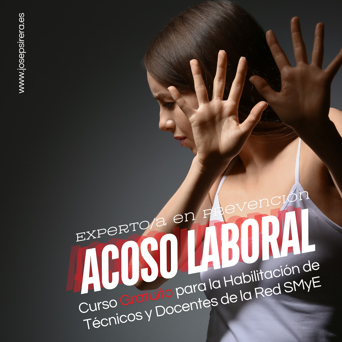 Experto/a en Prevención del Acoso Laboral, Acoso Sexual y por Razón de Sexo